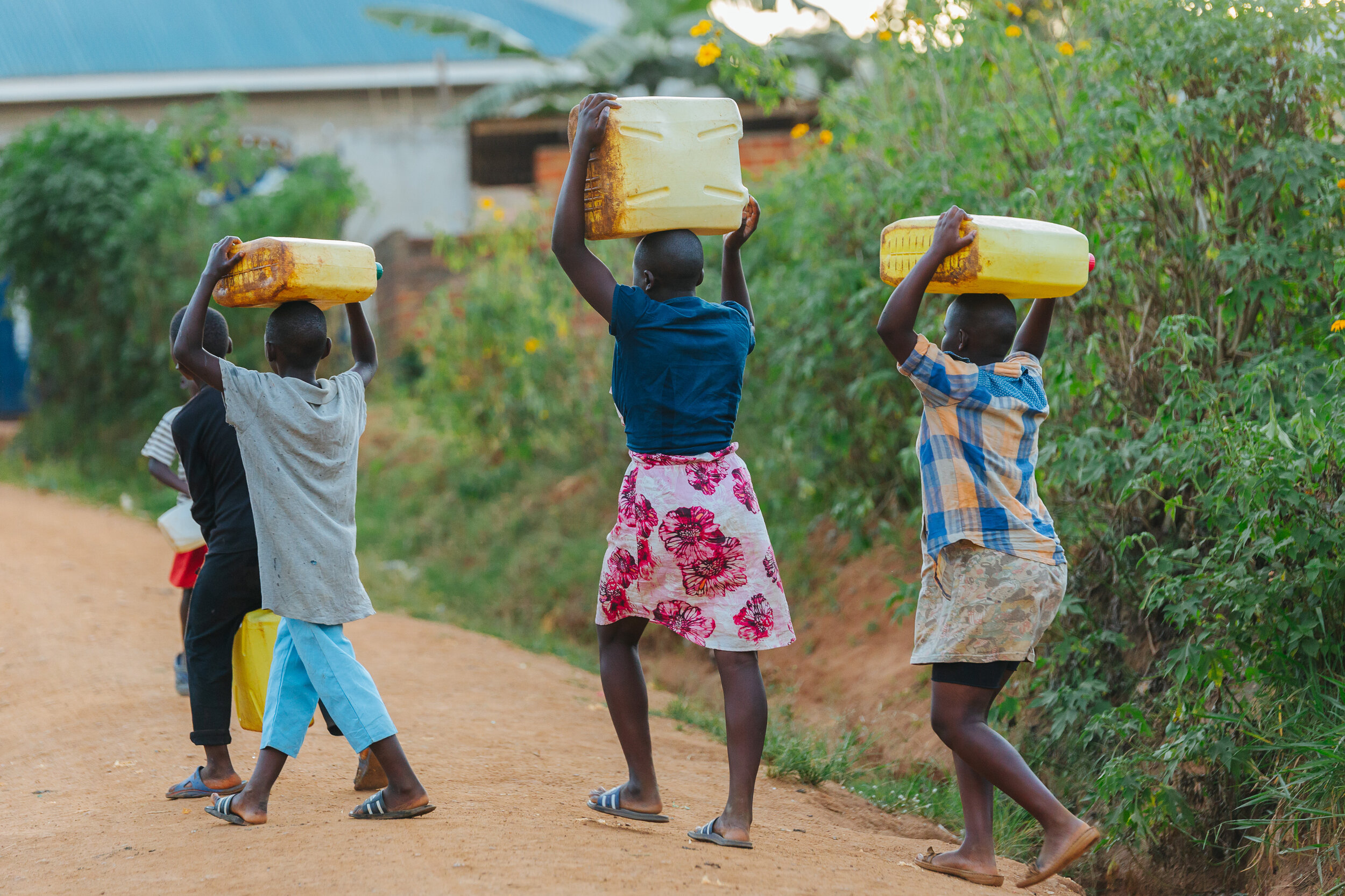 Community systems strengthening